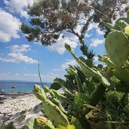 Apartment House Bella Vista Trogir